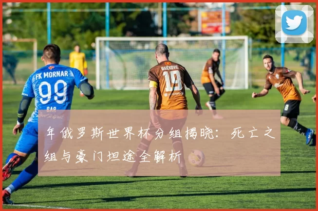 年俄罗斯世界杯分组揭晓:死亡之组与豪门坦途全解析