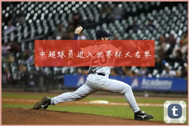 中超球员进入世界杯大名单