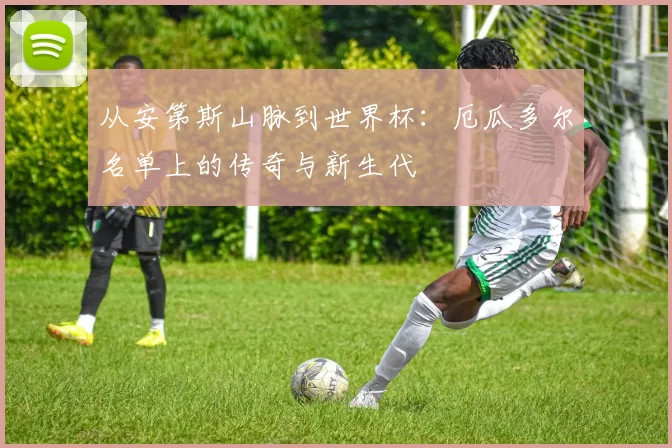 从安第斯山脉到世界杯:厄瓜多尔名单上的传奇与新生代