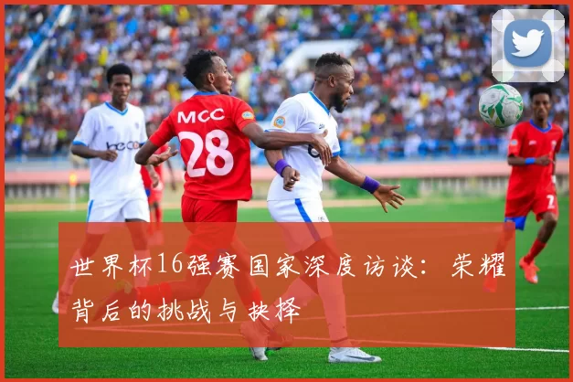 世界杯16强赛国家深度访谈：荣耀背后的挑战与抉择
