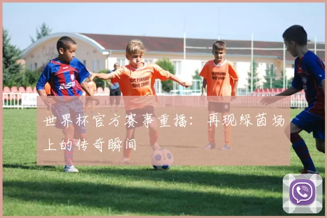 世界杯官方赛事重播:再现绿茵场上的传奇瞬间