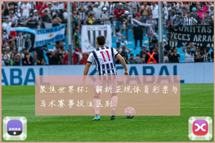 聚焦世界杯:解析正规体育彩票与马术赛事投注区别