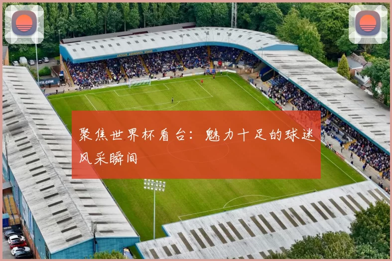 聚焦世界杯看台：魅力十足的球迷风采瞬间