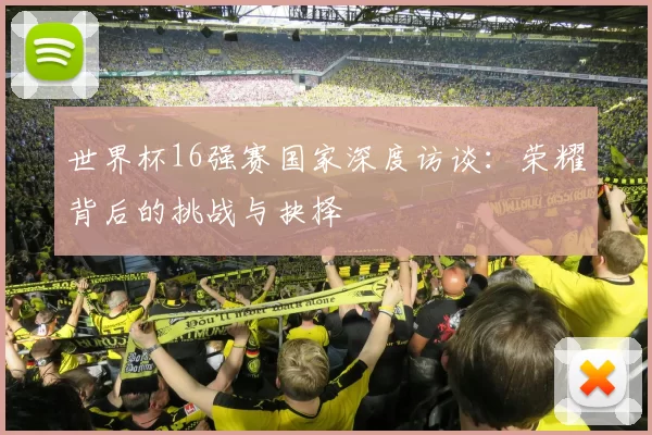 世界杯16强赛国家深度访谈:荣耀背后的挑战与抉择
