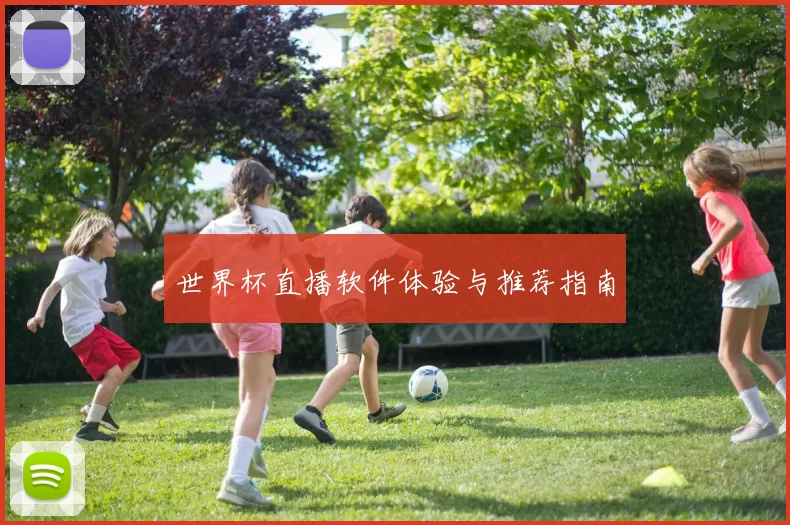 世界杯直播软件体验与推荐指南