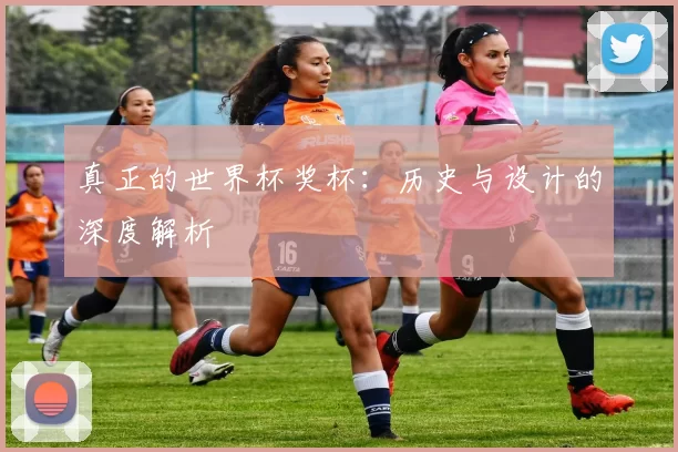 真正的世界杯奖杯:历史与设计的深度解析