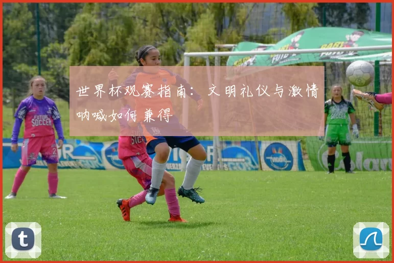 世界杯观赛指南：文明礼仪与激情呐喊如何兼得