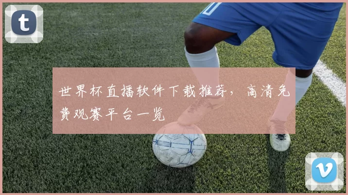世界杯直播软件下载推荐,高清免费观赛平台一览